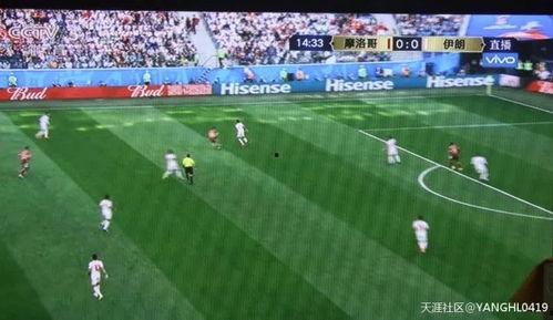 罗斯托夫吃瓜群众,吃瓜群众热议时事