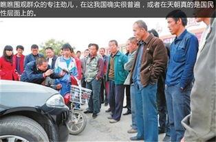 襄城县吃瓜群众事件,网络舆论漩涡中的社会现象解析