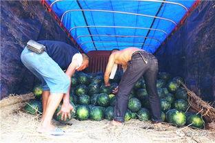 吃瓜群众遭拘留,网络围观引发社会关注