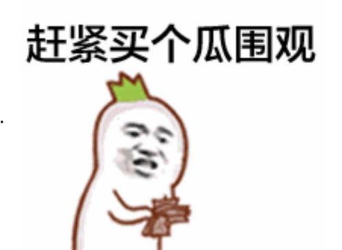 吃瓜群众盘子图片大全,创意盘子图片大全