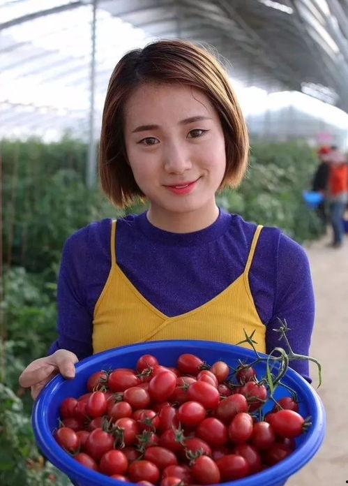 职业吃瓜群众可以做什么,揭秘网络时代的“围观达人”