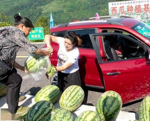 村内吃瓜群众是什么,农村社交生态的观察与思考
