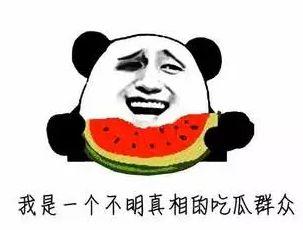 吃瓜群众的第一天,揭秘娱乐圈幕后风云