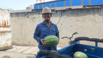 吃瓜群众的一天都干什么,揭秘他们的生活轨迹