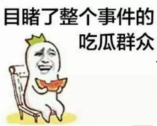聪明一丝不苟吃瓜群众,揭秘吃瓜群众的智慧与态度