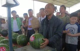 邹城吃瓜群众事件最新消息,最新进展揭秘，真相大白！