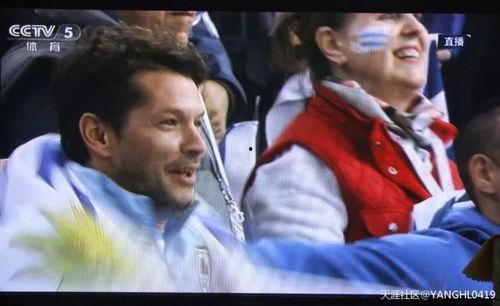 李阳吃瓜群众新闻视频,揭秘明星幕后生活