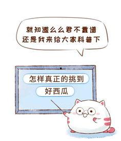 不做吃瓜群众配图,主动参与,共建和谐社会