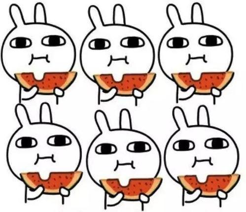 吃瓜群众绝望的凝视,吃瓜群众绝望凝视下的社会现象解析