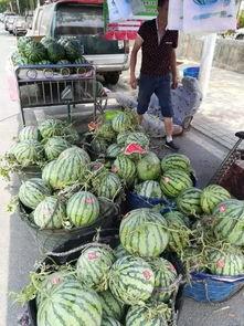 合肥新吃瓜群众事件视频,网络围观下的社会现象解析