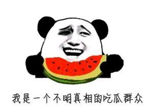 吃瓜群众最牛的直播,揭秘幕后故事，带你领略直播魅力