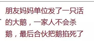 没脾气了吃瓜群众,揭秘网络热议背后的真实心态