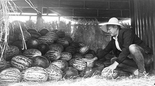 盂县吃瓜群众事件始末