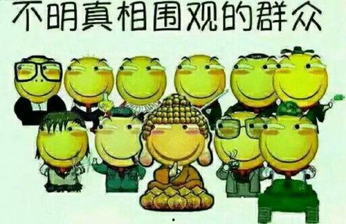 吃瓜群众手机型号,揭秘流行手机背后的故事与魅力”